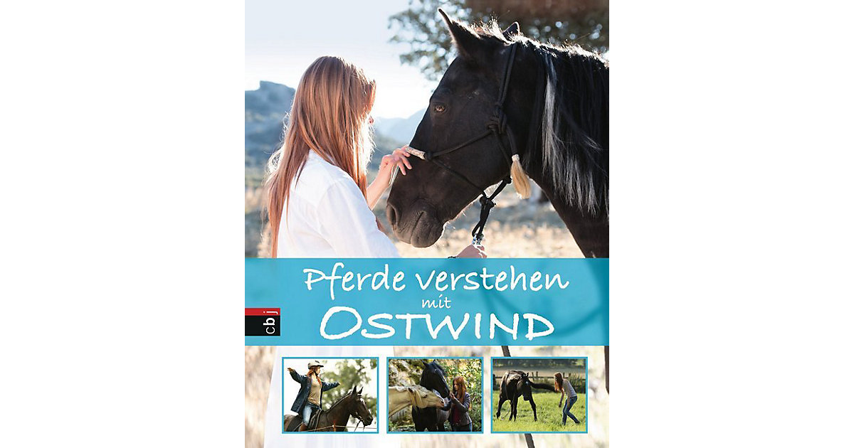 Buch - Pferde verstehen mit Ostwind