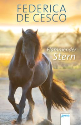 Buch - Flammender Stern
