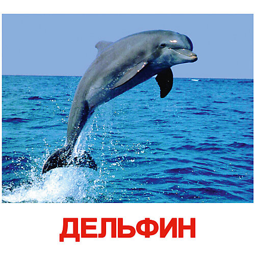 Набор обучающих карточек Вундеркинд с пелёнок "Обитатели воды" 20 штук от Вундеркинд с пелёнок