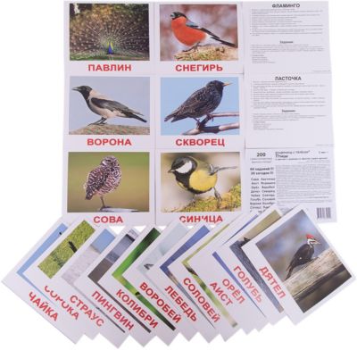 Набор обучающих карточек Вундеркинд с пелёнок "Птицы" 20 штук