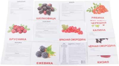 Набор обучающих карточек Вундеркинд с пелёнок "Ягоды" 20 штук