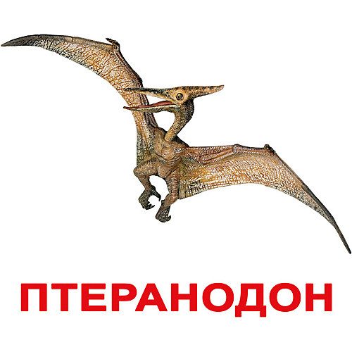Набор обучающих карточек Вундеркинд с пелёнок "Динозавры" 20 штук от Вундеркинд с пелёнок
