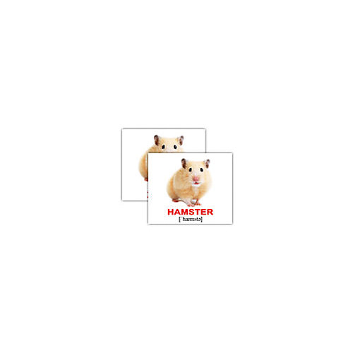 Набор обучающих мини-карточек Вундеркинд с пелёнок "Domestic animals/Домашние животные", двухсторонний 40 штук от Вундеркинд с пелёнок