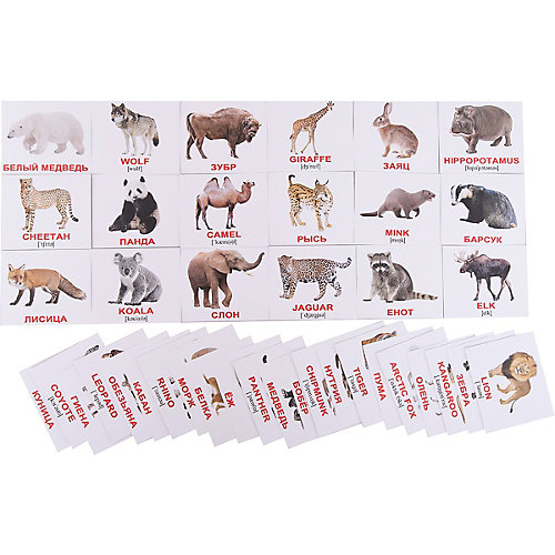 Набор обучающих мини-карточек Вундеркинд с пелёнок "Wild animals/Дикие животные", двухсторонний 40 штук