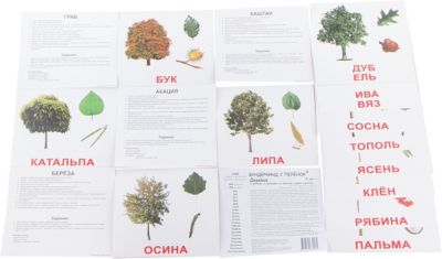 Настольная игра Вундеркинд с пелёнок "Лото. Рифмы"