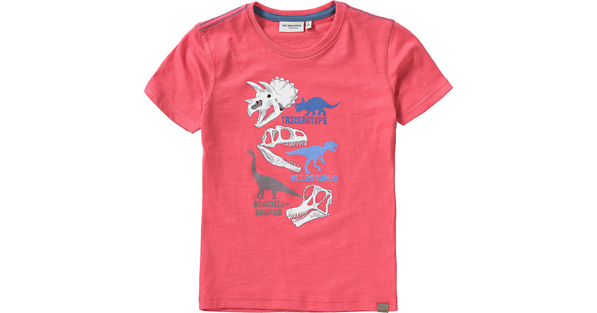 T-Shirt , Dino orange Gr. 92/98 Jungen Kleinkinder