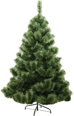 Сосна пушистая "Лапландия" 1,10 м