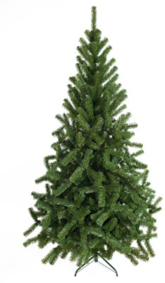 Ель "Серебряный бор" 1,5м