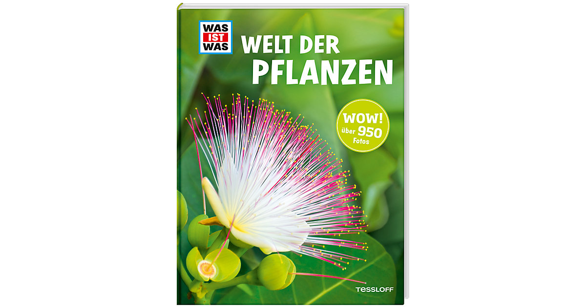 Spielzeug: Tessloff Verlag Buch - WAS IST WAS: Welt der Pflanzen
