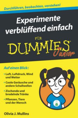 Buch - Experimente verblüffend einfach Dummies Junior Kinder