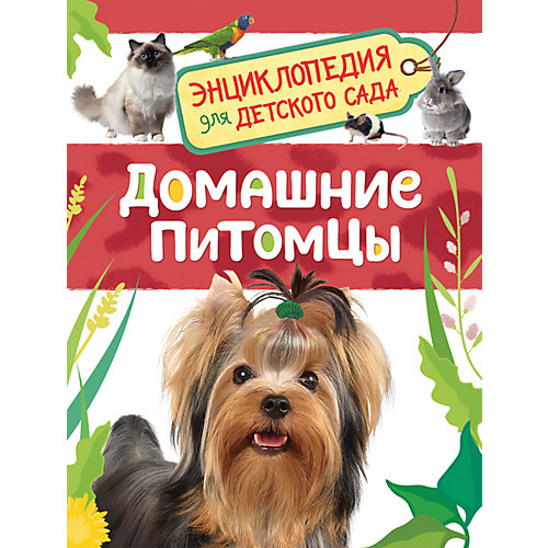 Домашние питомцы. Энциклопедия для детского сада от Росмэн