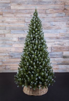 ТРИУМФ ЕЛЬ ЖЕНЕВА 185 СМ ЗАСНЕЖЕННАЯ