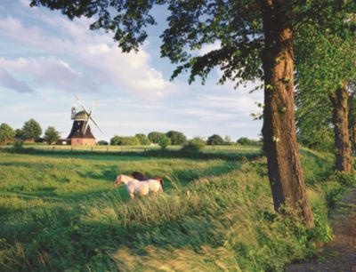 Пазл «Сельский пейзаж» 2000 шт