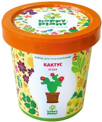 Набор для выращивания Кактус Егоза