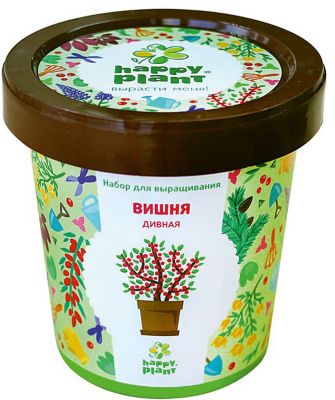 Набор для выращивания Вишня дивная