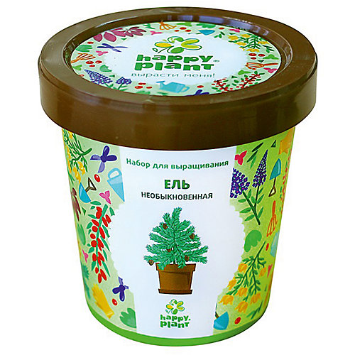 Набор для выращивания Ель необыкновенная от Happy Plant