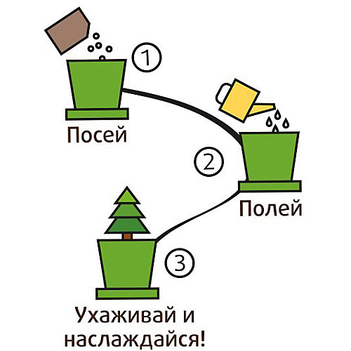 Набор для выращивания Ель необыкновенная от Happy Plant