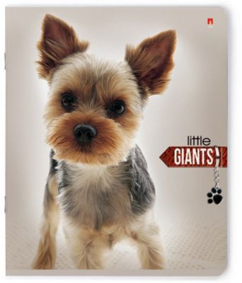 Тетрадь Маленькие гиганты 48 листов, клетка, 5 шт., рисунок