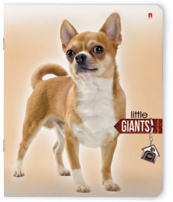 Тетрадь Маленькие гиганты 48 листов, клетка, 5 шт., рисунок