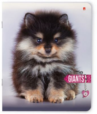 Тетрадь Маленькие гиганты 48 листов, клетка, 5 шт., рисунок