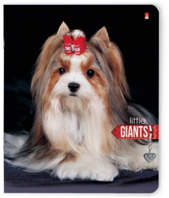 Тетрадь Маленькие гиганты 48 листов, клетка, 5 шт., рисунок