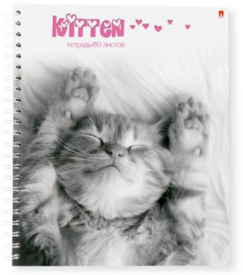 Тетрадь А5 "Котята", 80 листов, клетка, на спирали, рисунок
