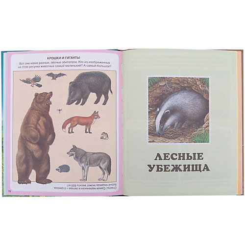 Жизнь леса от Махаон
