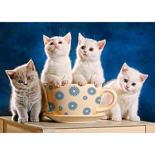 Пазл Castorland "4 котенка" 500 деталей от Castorland