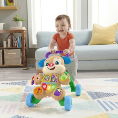 Fisher-Price FRD04 Lernspaß Hundefreundin Baby Gehhilfe Spielzeug Lauflernwagen 