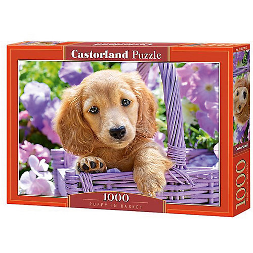 Пазл Castorland "Щенок в корзине" 1000 деталей от Castorland