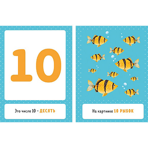 Познаем мир вместе "Я учу цифры" от Clever
