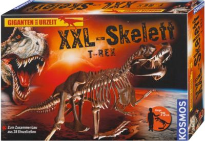 XXL-Skelett T-Rex