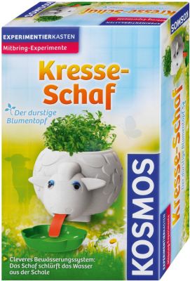 Kresse-Schaf (Mitbringexperiment)