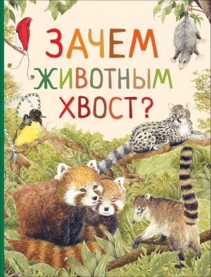 Удивительный мир животных "Зачем животным хвост?"