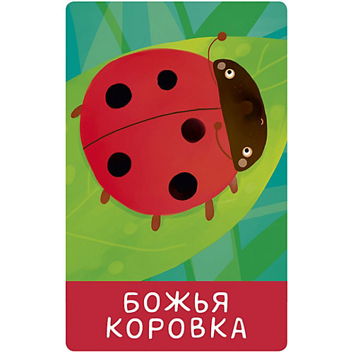 Обучающие карточки "Познаем мир вместе" Мой мир. 100 слов О. Уткина от Clever