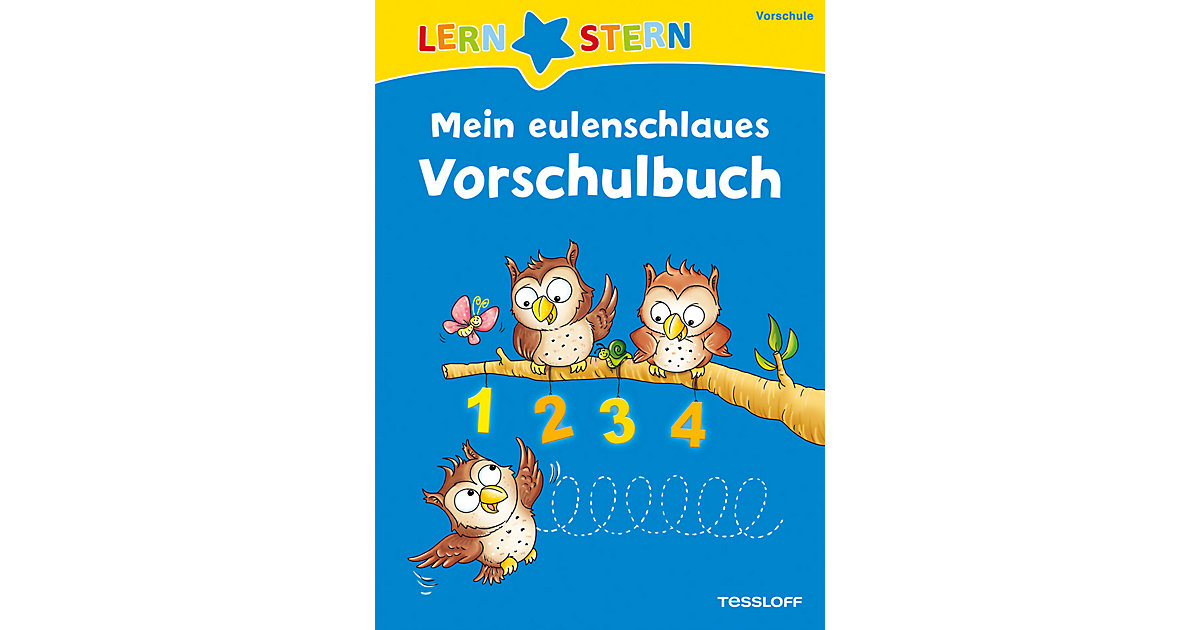 Buch - Lernstern: Mein eulenschlaues Vorschulbuch