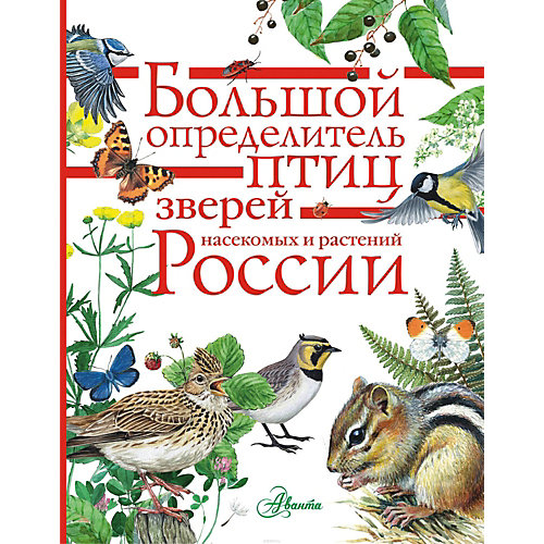 Энциклопедия "Большой определитель птиц, зверей, насекомых и растений России" от Издательство АСТ