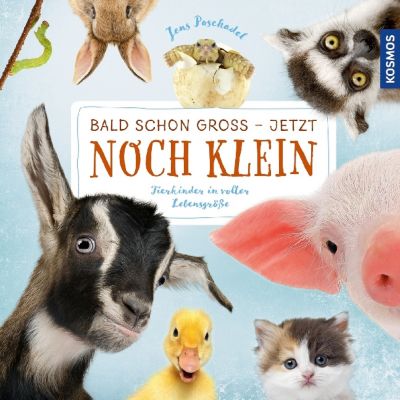Buch - Bald schon gro - jetzt noch klein