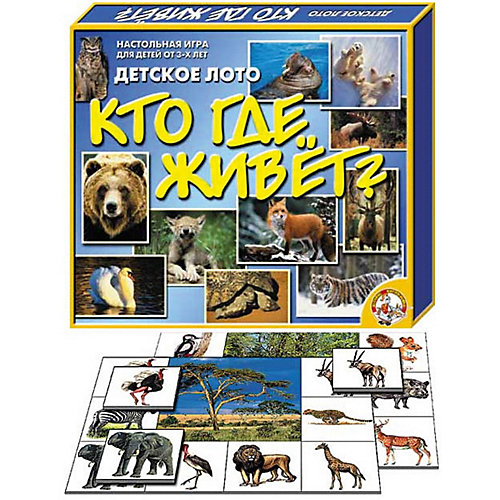 Лото Десятое королевство "Кто где живёт?" от Десятое королевство