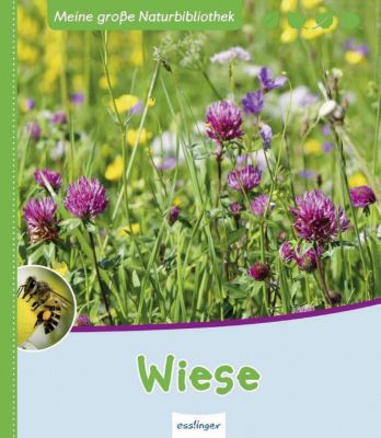 Buch - Meine groe Naturbibliothek: Wiese