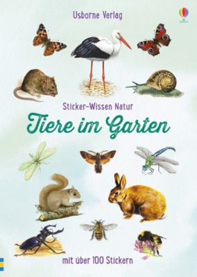 Image of Buch - Sticker-Wissen Natur: Tiere im Garten