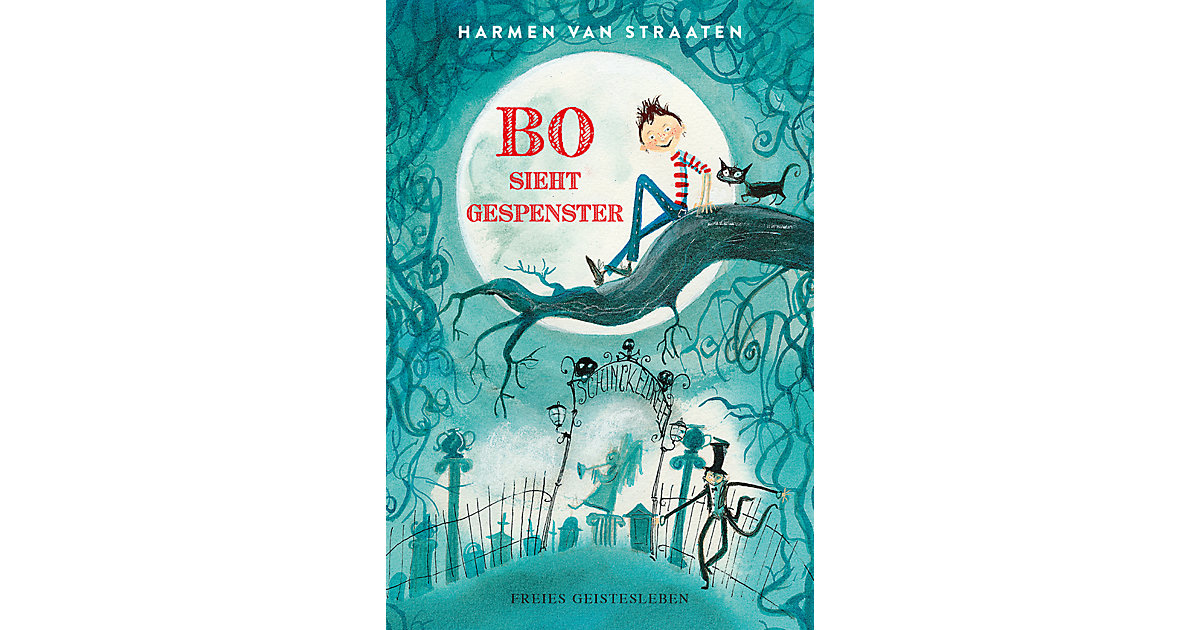 Buch - Bo sieht Gespenster