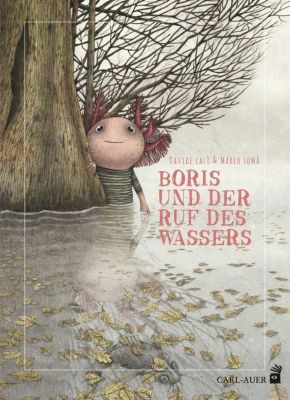 Buch - Boris und der Ruf des Wassers