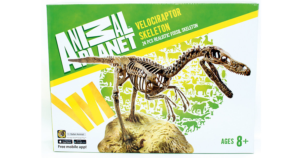 Animal Planet - Velociraptor Skelett