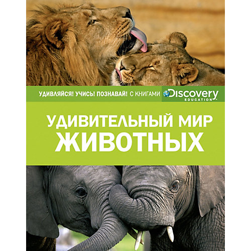 Энциклопедия "Discovery Education" Удивительный мир животных от Махаон