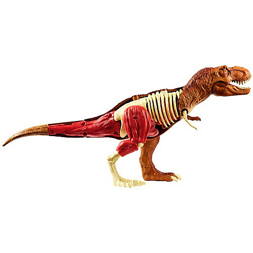 Игровой набор Jurassic World «Анатомия динозавра» Тиранозавр Рекс от Mattel