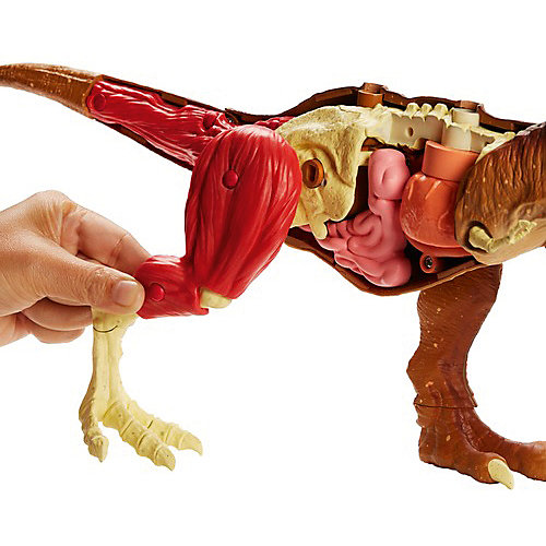 Игровой набор Jurassic World «Анатомия динозавра» Тиранозавр Рекс от Mattel