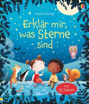 Image of Buch - Erklär mir, was Sterne sind