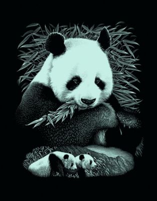 Wildtiere 3er Set silber mit Rahmen Kratzbilder Scraper Tiere Kratzbild Panda 