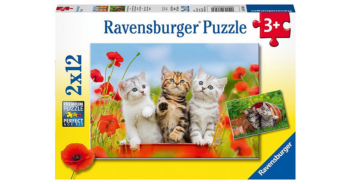 Puzzleset 2 x 12 Teile Katzen auf Entdeckungsreise